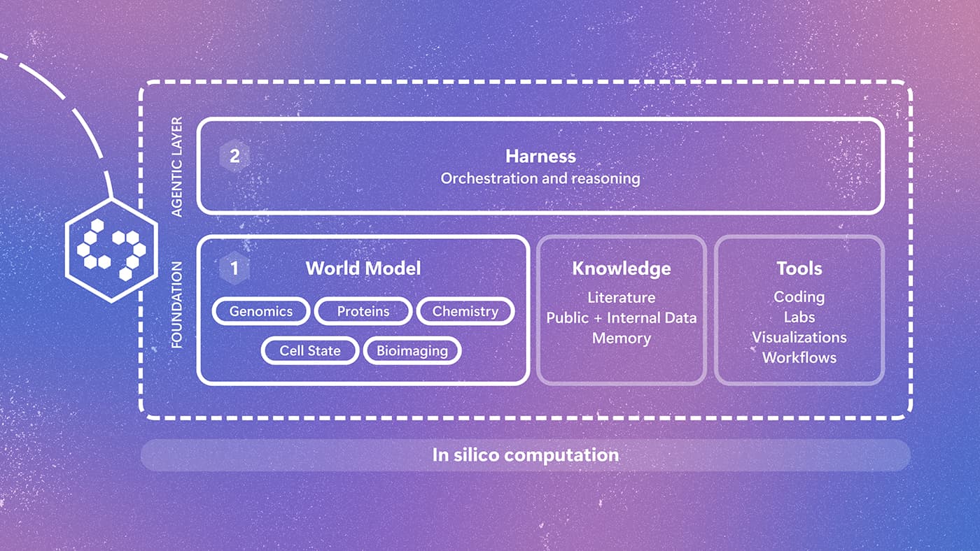 Microsoft Research, biyolojik karmaşıklık için Quine dünya modelini tanıttı — Microsoft yayın görseli